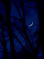 New Moon, December 26, 2011