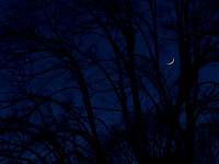 Venus+New Moon, Dec. 26, 2011