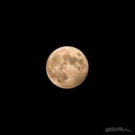Penumbral Moon (October 19, 2013)